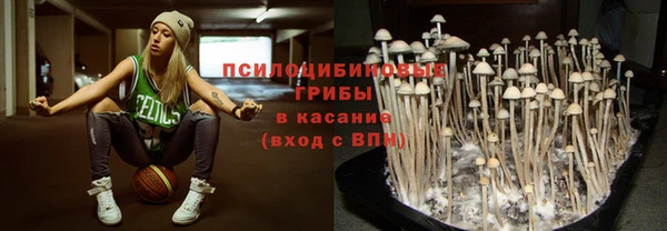 ECSTASY Мегион