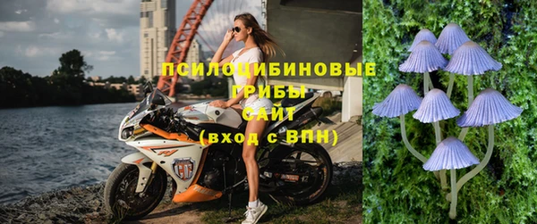 тгк Медвежьегорск