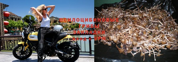 тгк Медвежьегорск