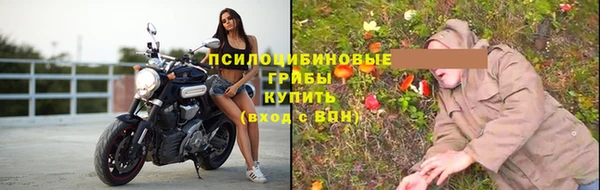стаф Армянск