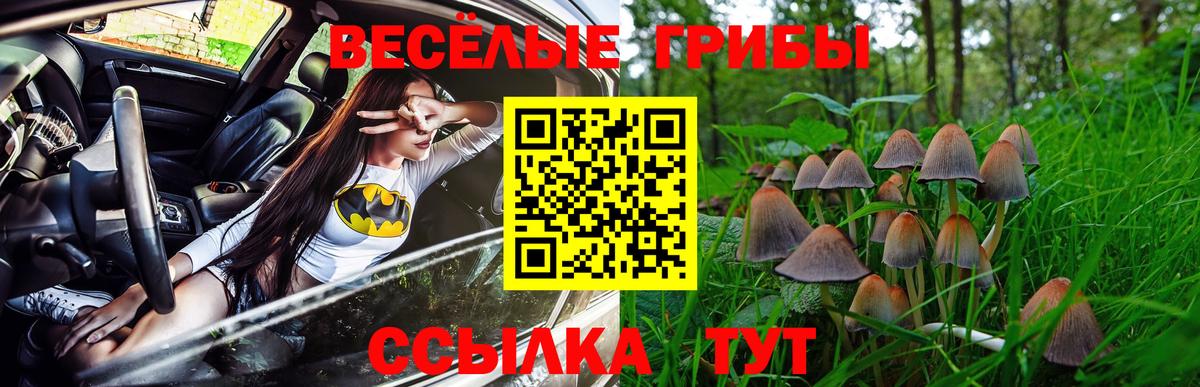 Галлюциногенные грибы Psilocybine cubensis  Вход с VPN  Алексин 