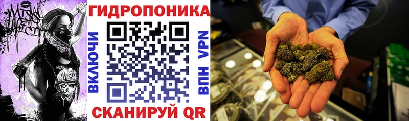 где купить   Алексин  Шишки марихуана планчик 